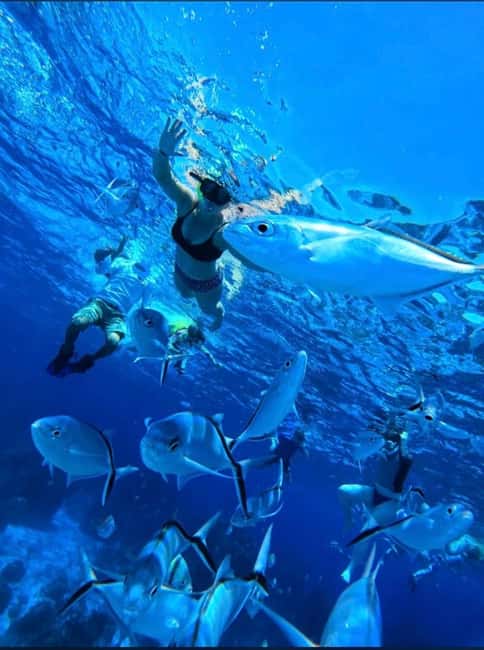 Cozumel: snorkeling on reefs + visit to "El Cielo" - Three water stops, three different Cozumel experiences