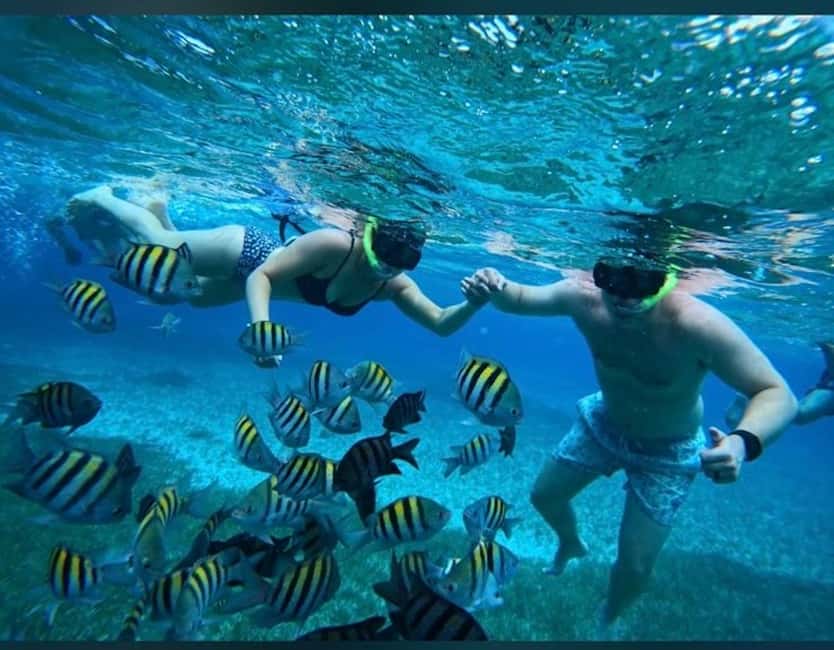 Cozumel: snorkeling on reefs + visit to "El Cielo" - Columbia Reef: a second look at Cozumel’s marine life
