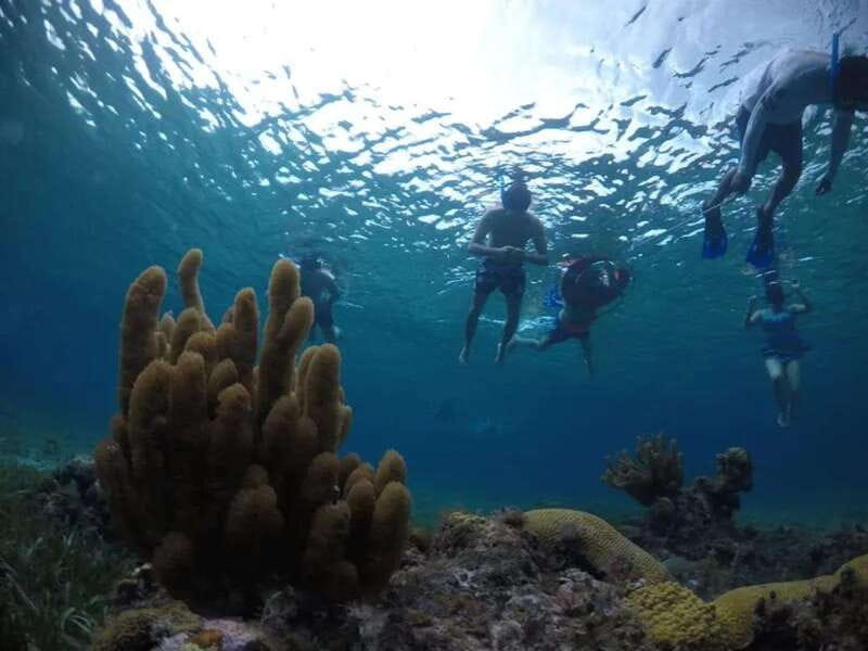 Cozumel: snorkeling on reefs + visit to "El Cielo" - Food and drinks on a shaded boat