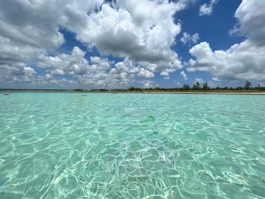 Cozumel: snorkeling on reefs + visit to "El Cielo" - Who will enjoy this tour most