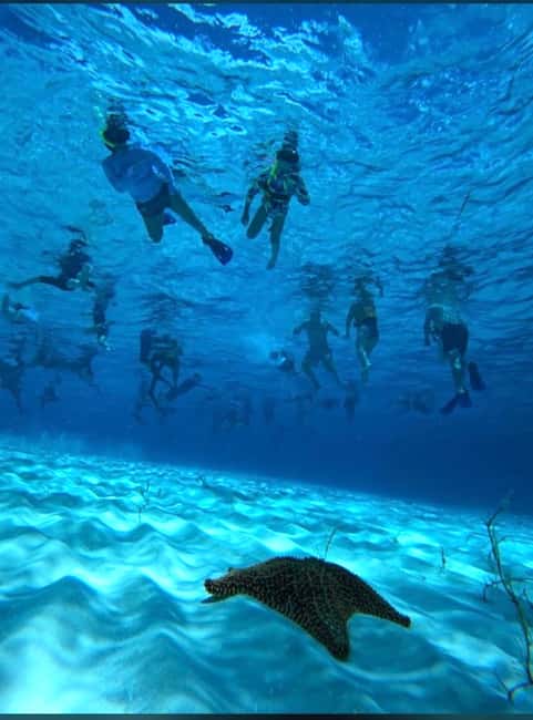 Cozumel: snorkeling on reefs + visit to "El Cielo" - Palancar Reef: coral formations and fish