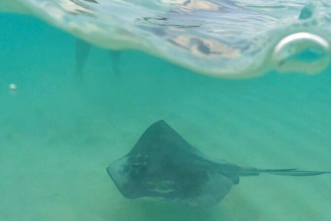 Cozumel: Snorkeling to El Cielo & Cielito with drinks & Snack - What the Cozumel boat trip is really like