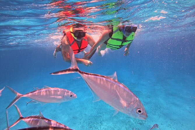 Cozumel: Snorkeling to El Cielo & Cielito with drinks & Snack - Cielito combines food, drinks, and stingrays