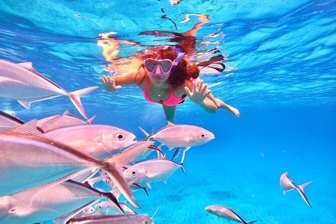 Cozumel: Snorkeling to El Cielo & Cielito with drinks & Snack - Is $65.46 a fair price?