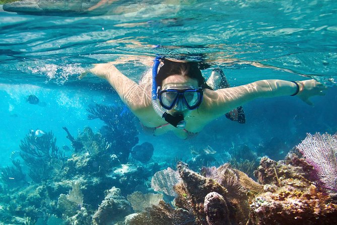 Cozumel Snorkeling Tour at Palancar & Colombia Reefs and El Cielo - What the $59.49 price really covers