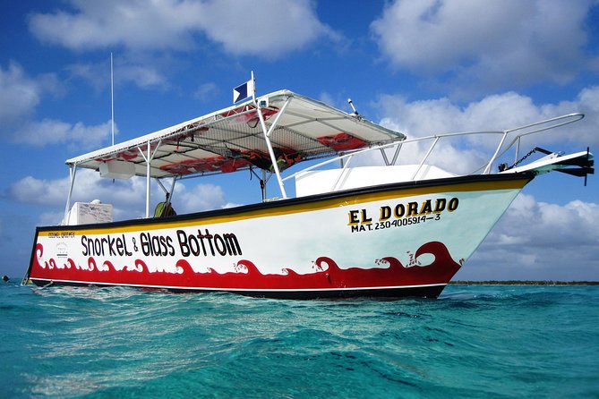 Cozumel Snorkeling Tour at Palancar & Colombia Reefs and El Cielo - Palancar Reef: more variety, more expectation