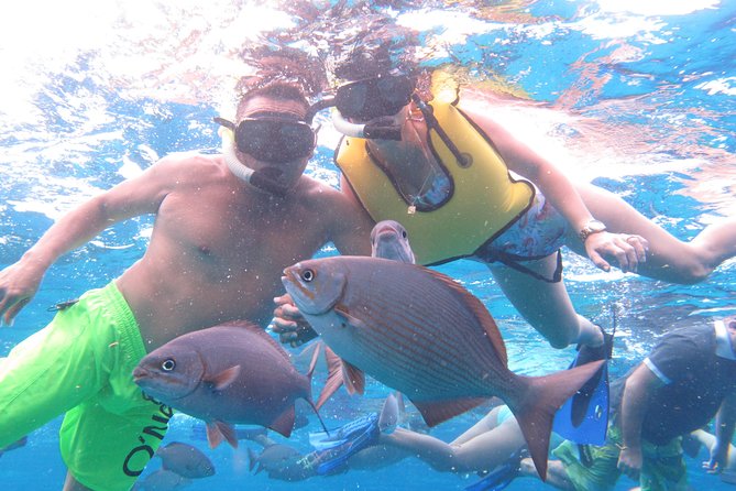 Cozumel Snorkeling Tour at Palancar & Colombia Reefs and El Cielo - El Cielo and the starfish sandbar