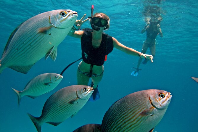 Cozumel Snorkeling Tour: Palancar, Columbia and El Cielo Reefs - Key points to know before you book