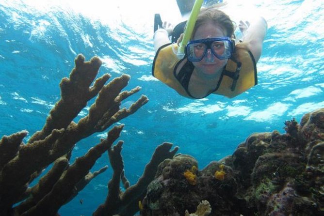 Cozumel Snorkeling Tour: Palancar, Columbia and El Cielo Reefs - Three Cozumel favorites in one short boat trip