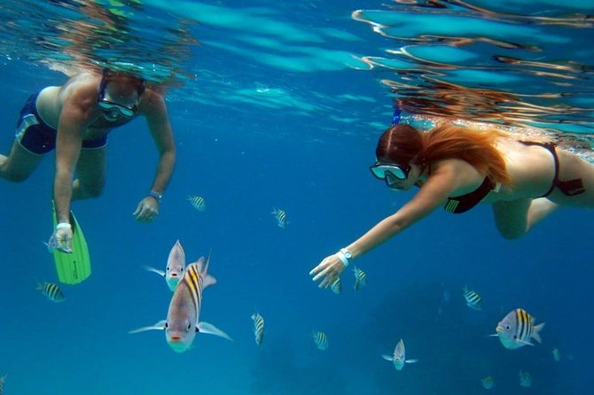 Cozumel Snorkeling Tour: Palancar, Columbia and El Cielo Reefs - What the longer stop list means