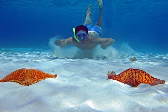 Cozumel Snorkeling Tour to Palancar Reef and El Cielo - El Cielo offers a gentler second stop