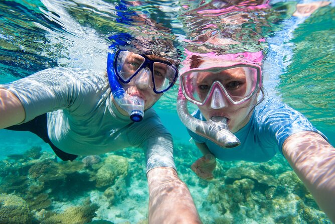 Cozumel Snorkeling Tour to Palancar Reef and El Cielo - The 3-hour-30-minute schedule leaves your afternoon free