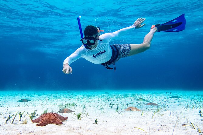 Cozumel Starfish and Tropical Reef Snorkeling by Powerboat with Lunch - Lunch on the boat and what to pack