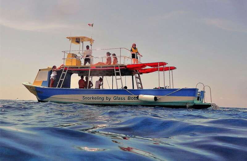 Cozumel: VIP Glass Bottom Boat & Snorkeling 3 Reefs Tour - Shallow Paradise Reef offers the strongest wildlife chance