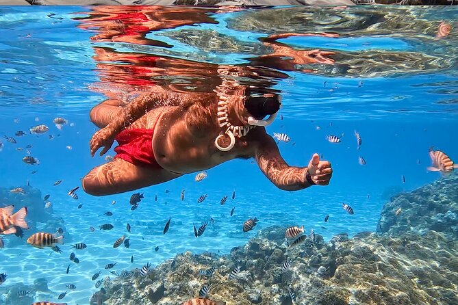 Crazyseahorseborabora Comfortable boat , sensational snorkeling . - Shallow water makes the snorkeling easier