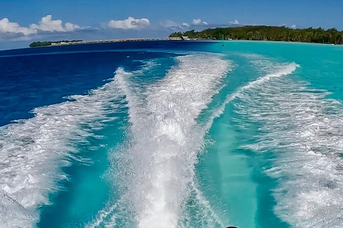 Crazyseahorseborabora Comfortable boat , sensational snorkeling . - What Mo and Tu add to the experience