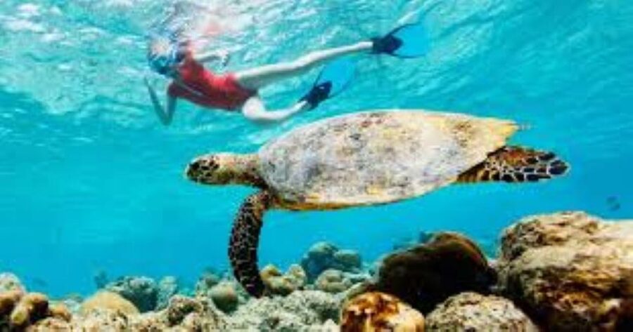 Crete: Coastline Snorkeling Cruise from Hersonissos Port - The boat ride and onboard atmosphere