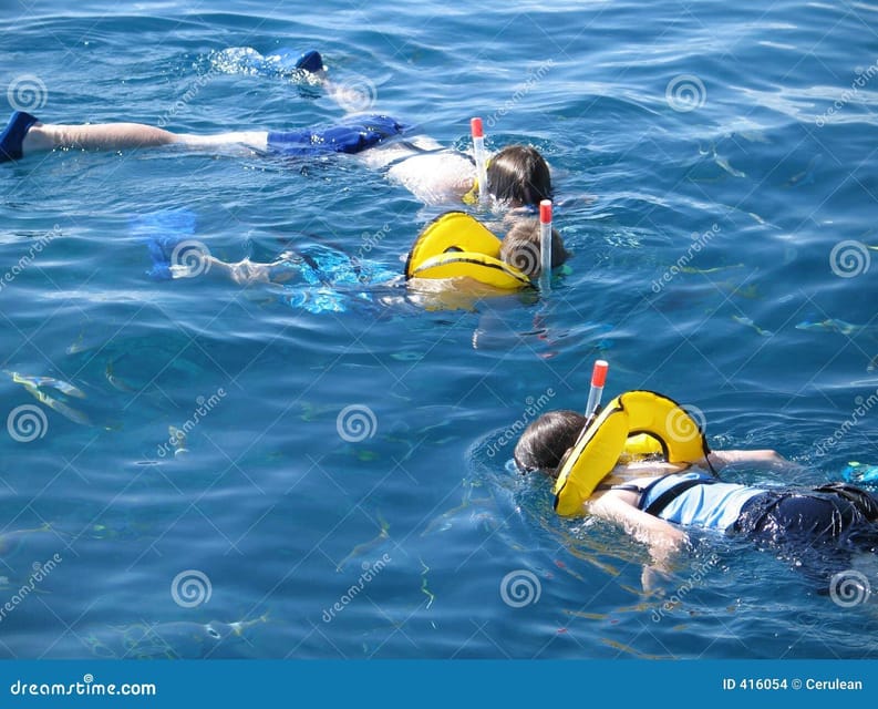 Crete: Snorkeling Boat Trip with Lunch and Transfer - Is $81 good value?