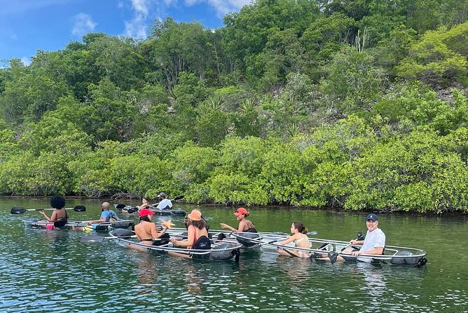 Crystal Kayak & Snorkel Eco Tour (with transfer) - Why the clear kayaks make this tour different