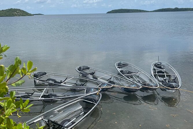 Crystal Kayak & Snorkel Eco Tour (with transfer) - Paddling through the sheltered mangroves