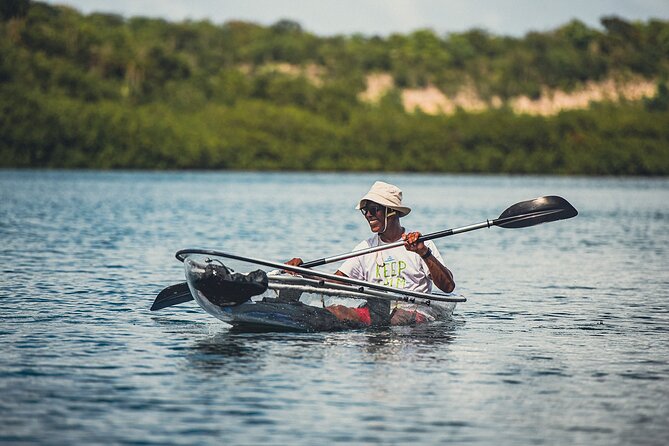 Crystal Kayak & Snorkel Eco Tour (with transfer) - The boat ride adds a second view of Antigua