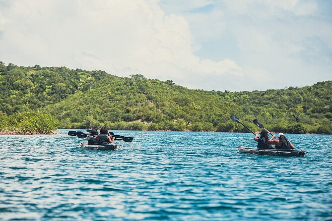 Crystal Kayak & Snorkel Eco Tour (with transfer) - What happens after the water