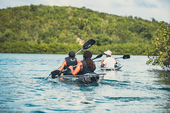 Crystal Kayak & Snorkel Eco Tour (with transfer) - Who will enjoy this Antigua water outing?