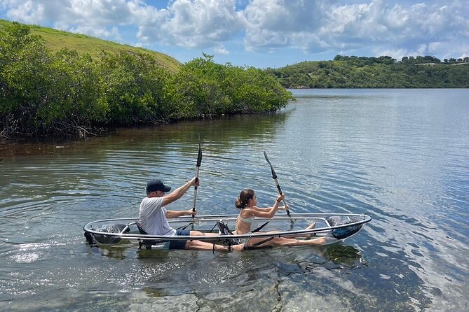 Crystal Kayak & Snorkel Eco Tour (with transfer) - The morning begins near Willikies