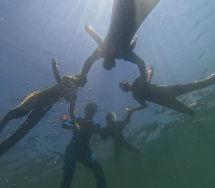 Crystal River: Guided Manatee Snorkeling Tour - Snorkeling beside a wild manatee