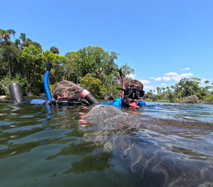 Crystal River: Guided Manatee Snorkeling Tour - Timing, comfort, and practical details
