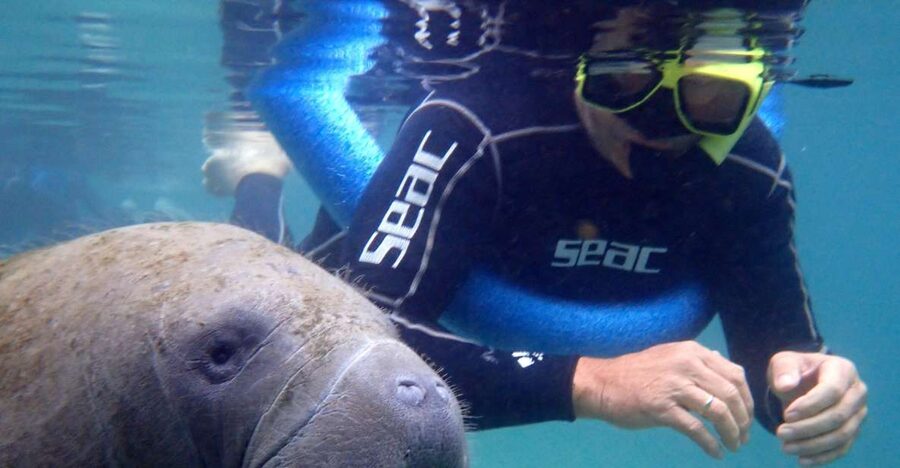 Crystal River: Manatee Snorkel Tour w/ In-Water Photographer - Entering Three Sisters Springs