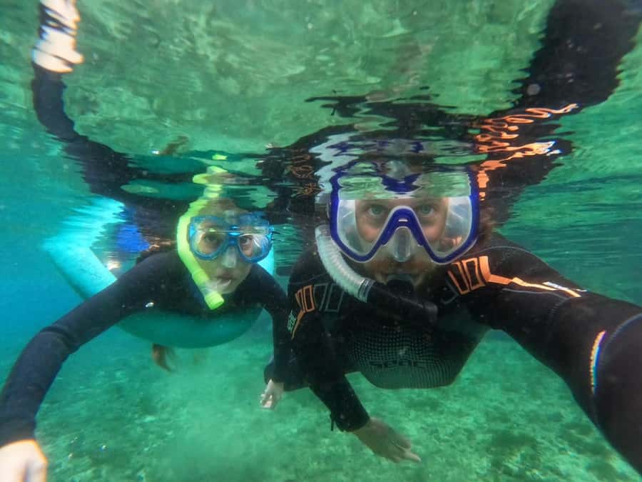 Crystal River: Small-Group Manatee Snorkeling Tour - Key points to know before booking