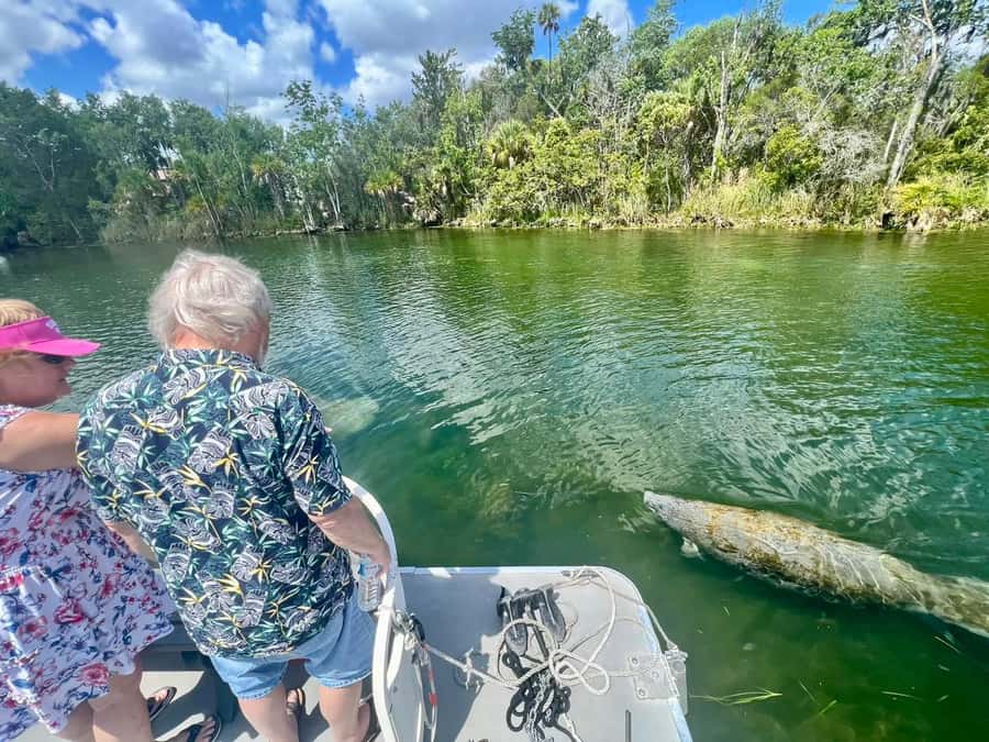 Crystal River: Small-Group Manatee Snorkeling Tour - Why Crystal River is special for manatee watching