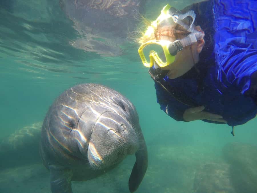 Crystal River: Small-Group Manatee Snorkeling Tour - From Paddle Tail Lodge to the pontoon