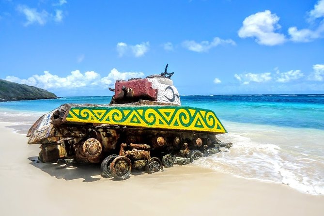 Culebra Snorkel and Turtle Adventure with Transport - Who will enjoy this Culebra day most