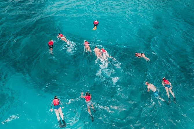 Culebra Snorkel and Turtle Adventure with Transport - Packing advice that will save your day