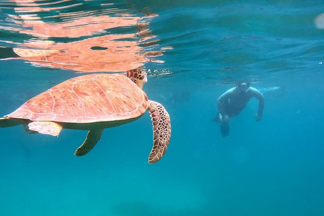 Culebra Snorkel and Turtle Adventure with Transport - Tamarindo Beach is the heart of the water adventure
