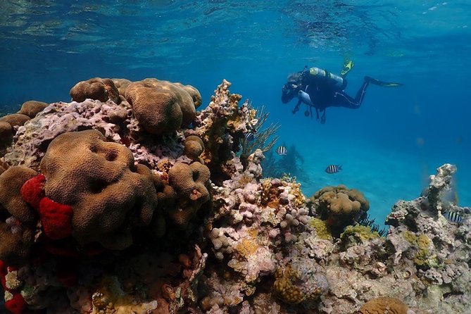 Culebra Snorkeling and beach Day Experience by boat - Beach time, lunch, and shore snorkeling