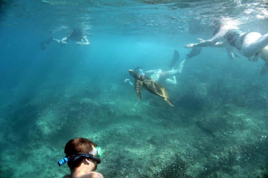 Curieuse Guided Tour, St Pierre, BBQ & 2 Snorkel Stops - The first snorkeling stop sets the tone