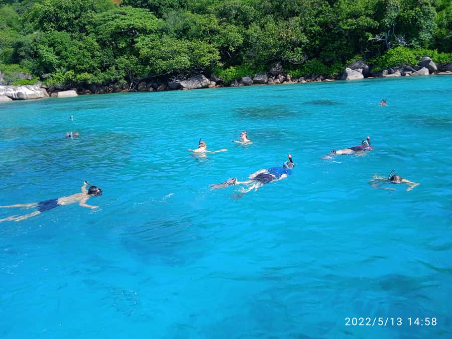 Curieuse Guided Tour, St Pierre, BBQ & 2 Snorkel Stops - A Creole BBQ makes lunch part of the experience
