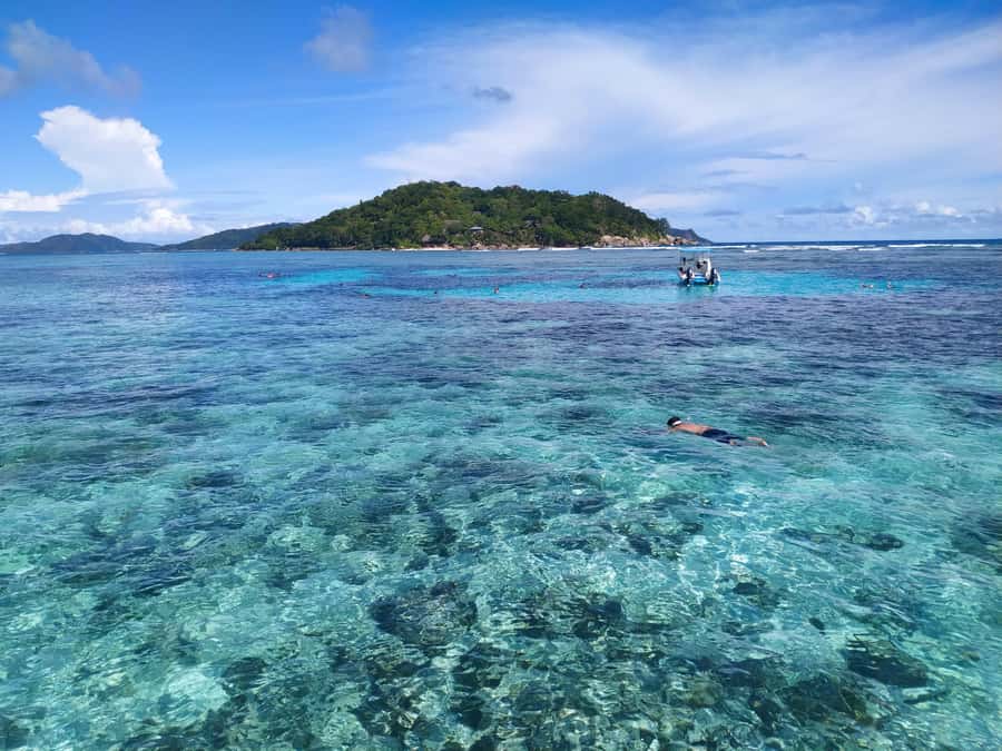 Curieuse Guided Tour, St Pierre, BBQ & 2 Snorkel Stops - The second snorkeling stop is often the best