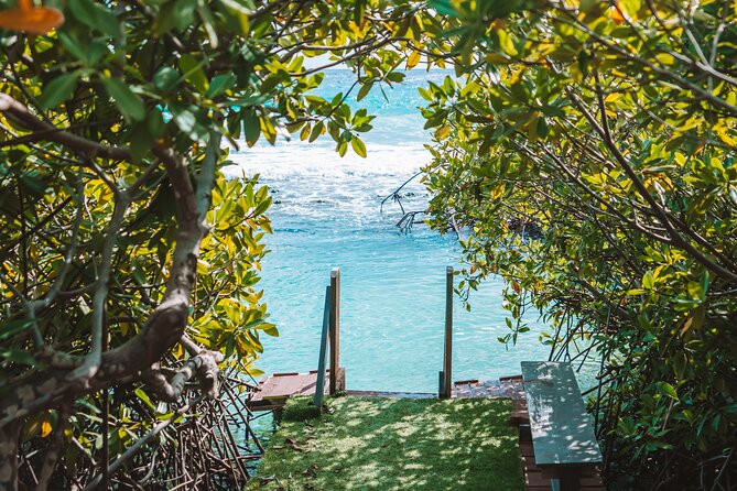 Custom Full‑Day Private Adventure: Snorkel & Explore Hidden Spots - A private day in Aruba’s mangrove country