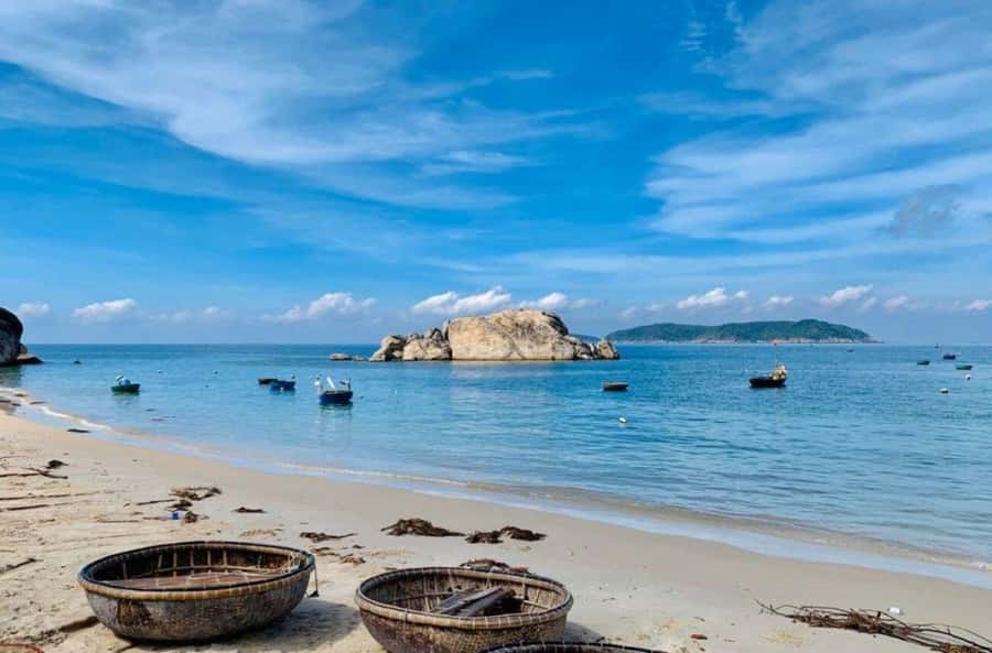 Da Nang/Hoi An:Explore Cham Island and Snorkeling tour 1 Day - Local lunch and a proper beach break
