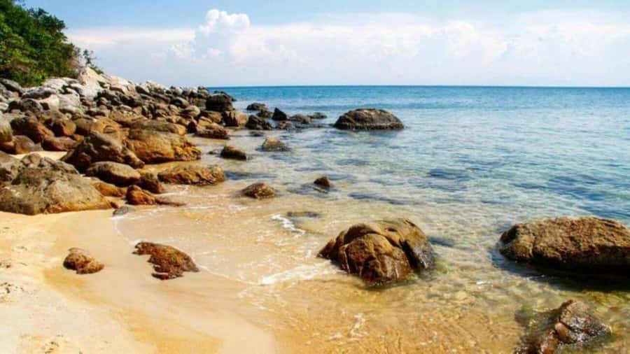 Da Nang/Hoi An:Explore Cham Island and Snorkeling tour 1 Day - Who will get the most from this tour