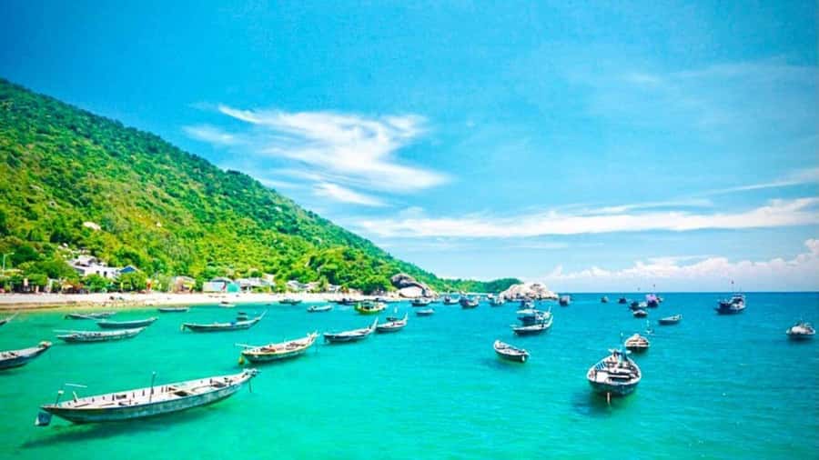 Da Nang/Hoi An:Explore Cham Island and Snorkeling tour 1 Day - What to pack for a comfortable day