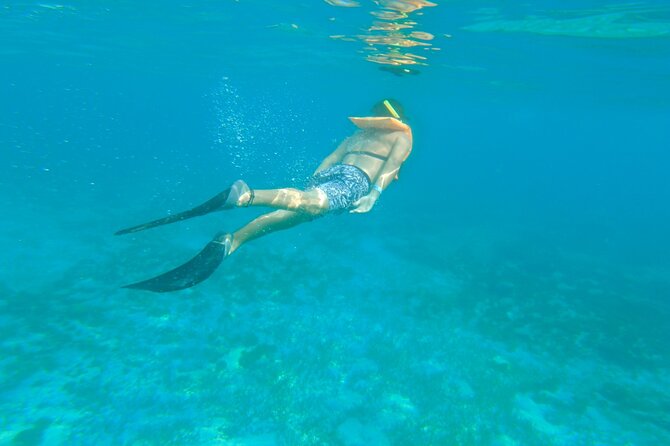 Dancer Cruise Isla Mujeres Snorkel Food and Drinks Included - Lunch with fajitas and ceviche