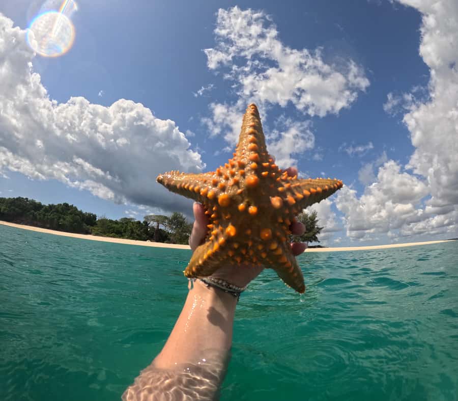 DAR ES SALAAM:BONGOYO ISLAND SNORKELING TOUR & BEACH ESCAPE - Six hours gives you room to set your own pace
