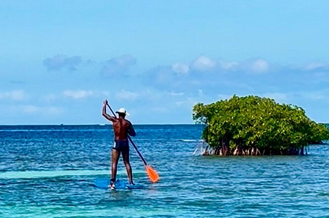 Day Lagoon 100% Sailing stops Snorkelling Paddle - Is $113.37 good value?