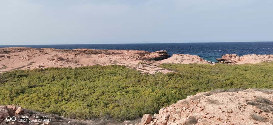 Daymaniyat Island: Snorkelling Tour with Tasty Lunch - The onboard break with fruit, sandwiches, and drinks