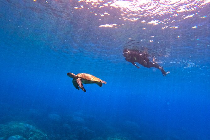 Daymaniyat Islands Snorkeling Sharing Trip - Who will enjoy this trip most?